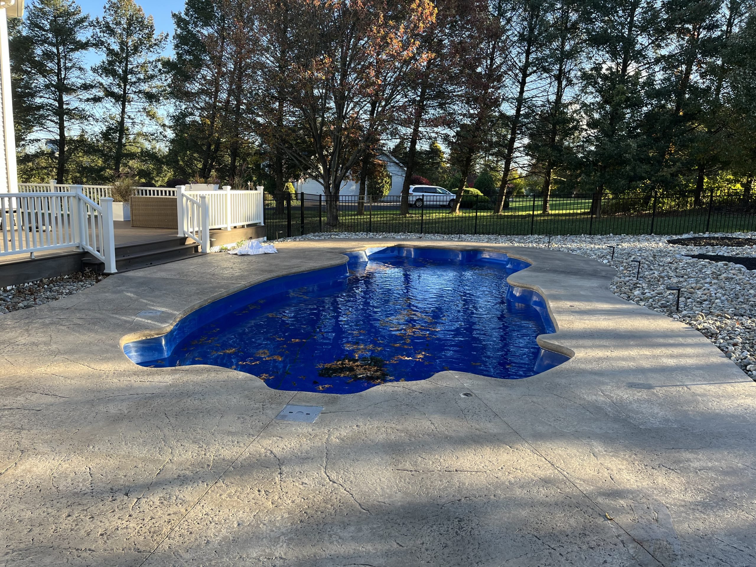 Small freeform backyard swimming pool with crystal-clear water maintained by professional pool service.