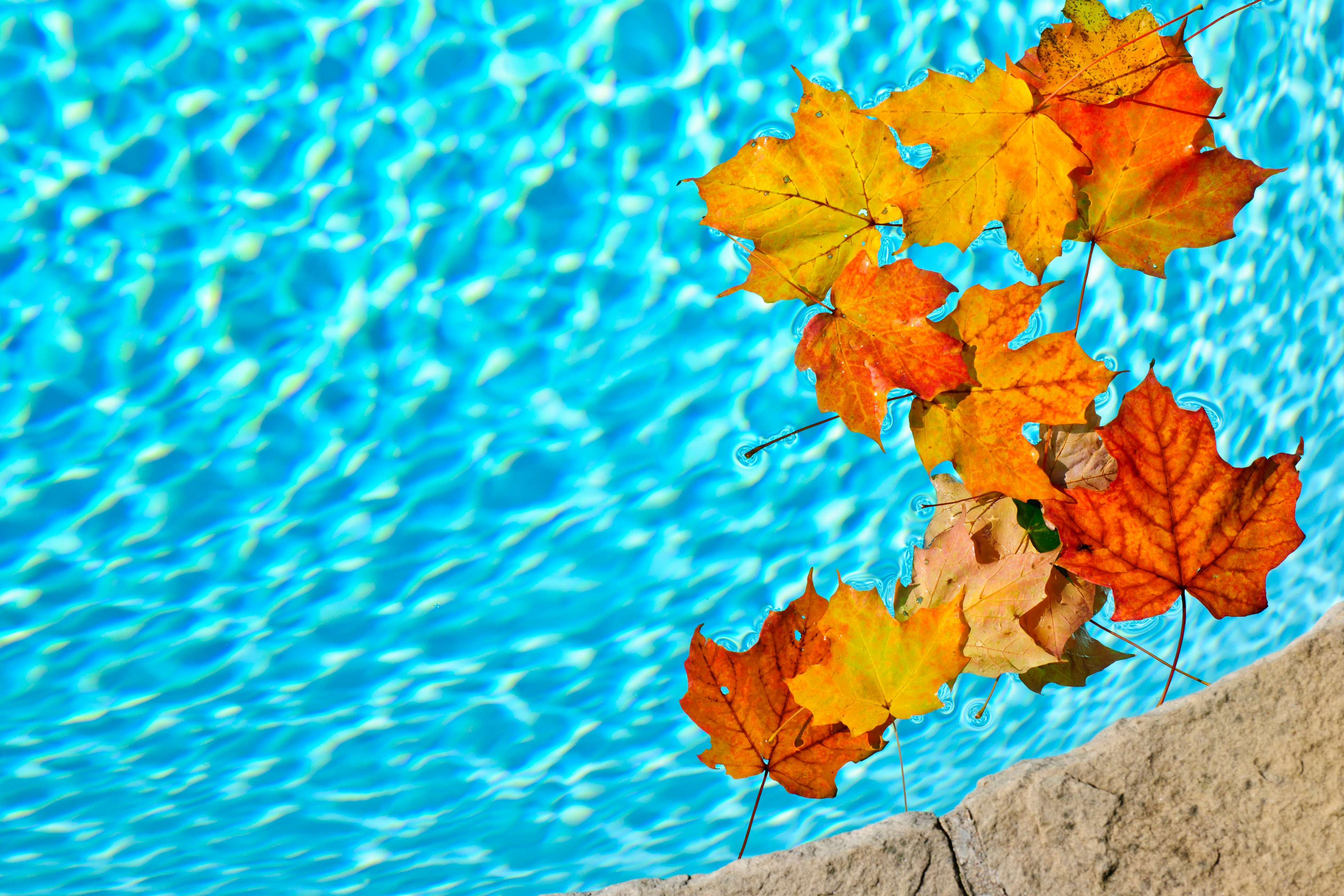 Why Fall Is the Best Time to Plan Your Pool Installation